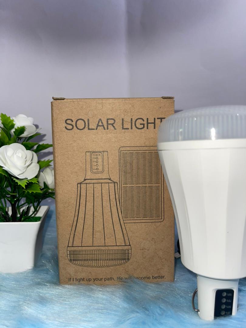 Single Solar Bulb